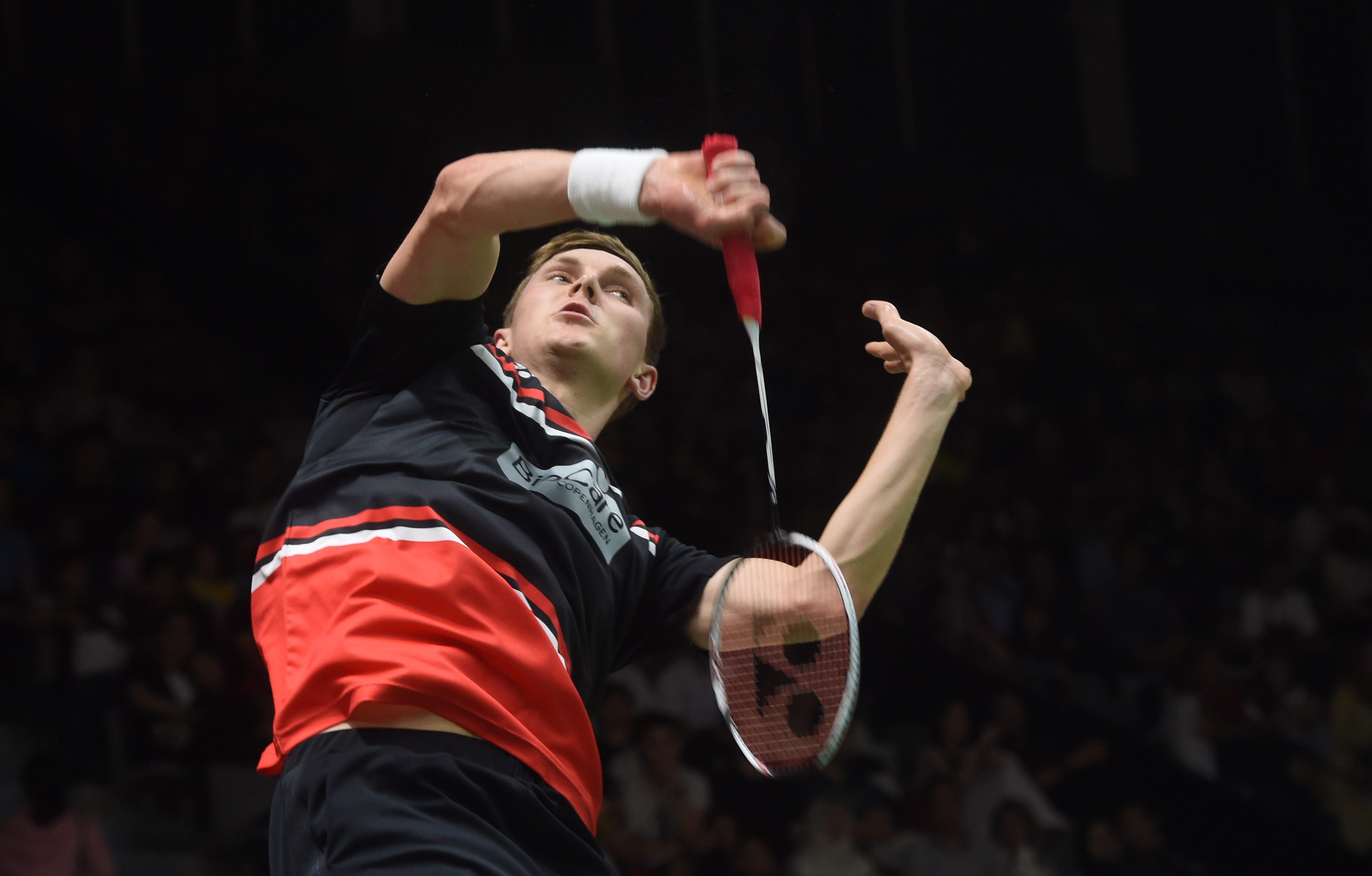 章更具有新 章更具有新